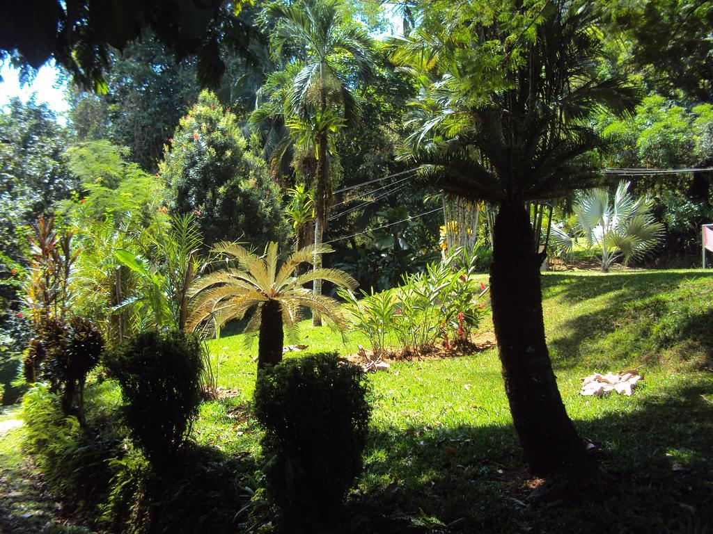 La Purruja Lodge Golfito Exterior photo