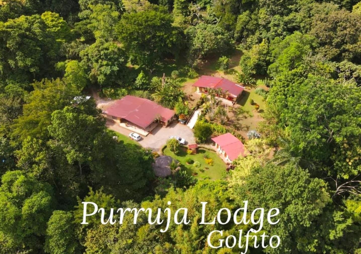 La Purruja Lodge Golfito Exterior photo